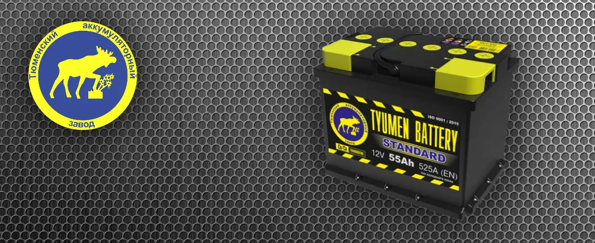 Аккумуляторная батарея TYUMEN BATTERY